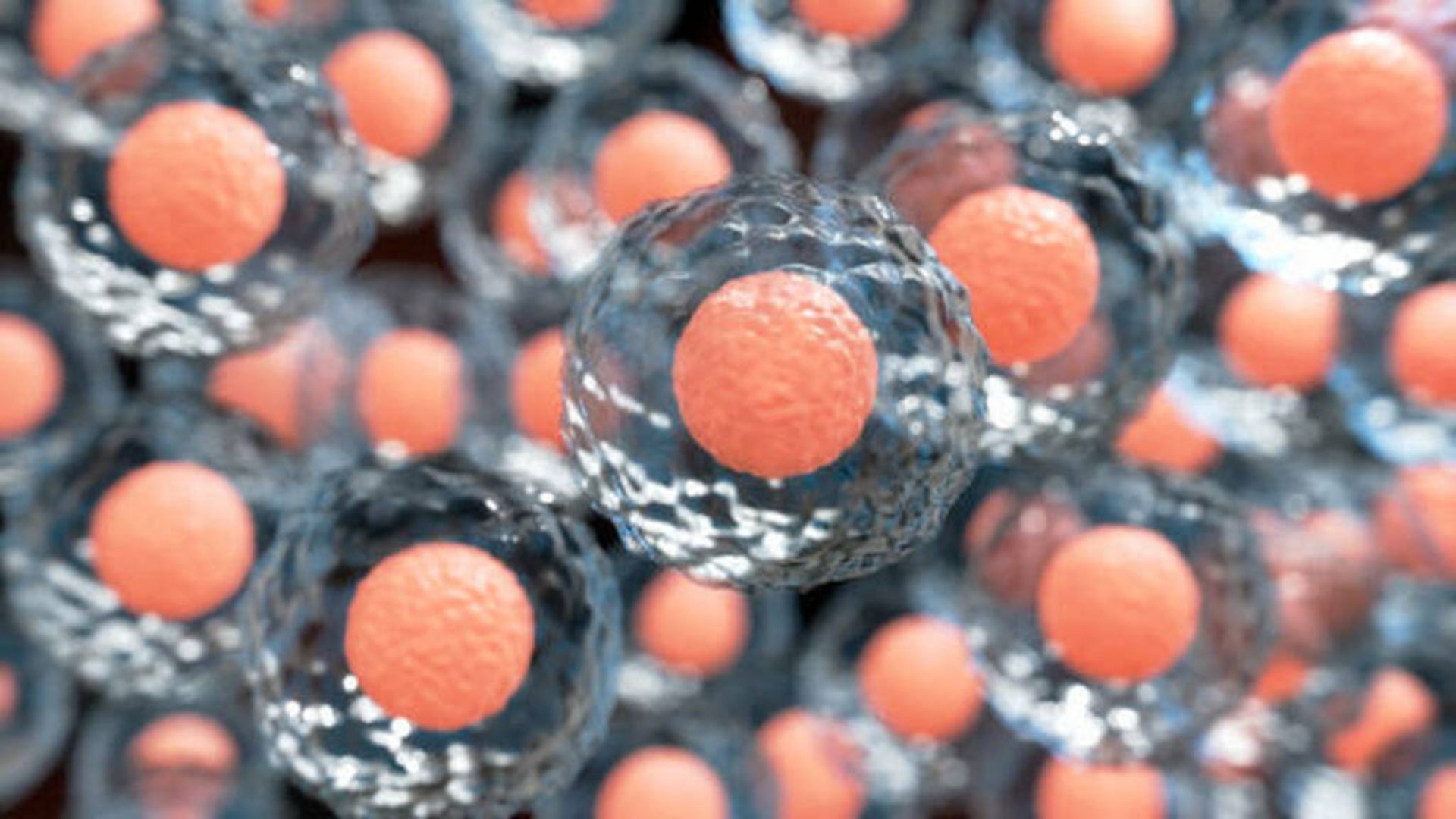 stem cell therapy myths Medellin