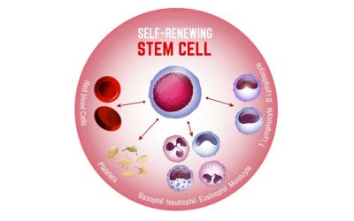 Dr. Catalina Henao Regenerative Medicine Expert