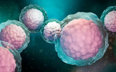 Get Stem Cell Therapy Medellin: Start Your Treatment