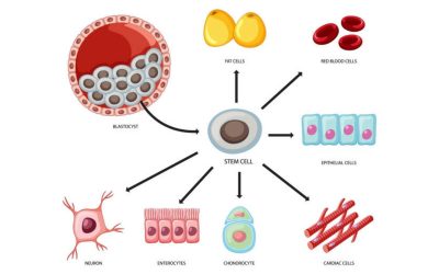 Stem Cell Therapy in Medellin with Trusted Care