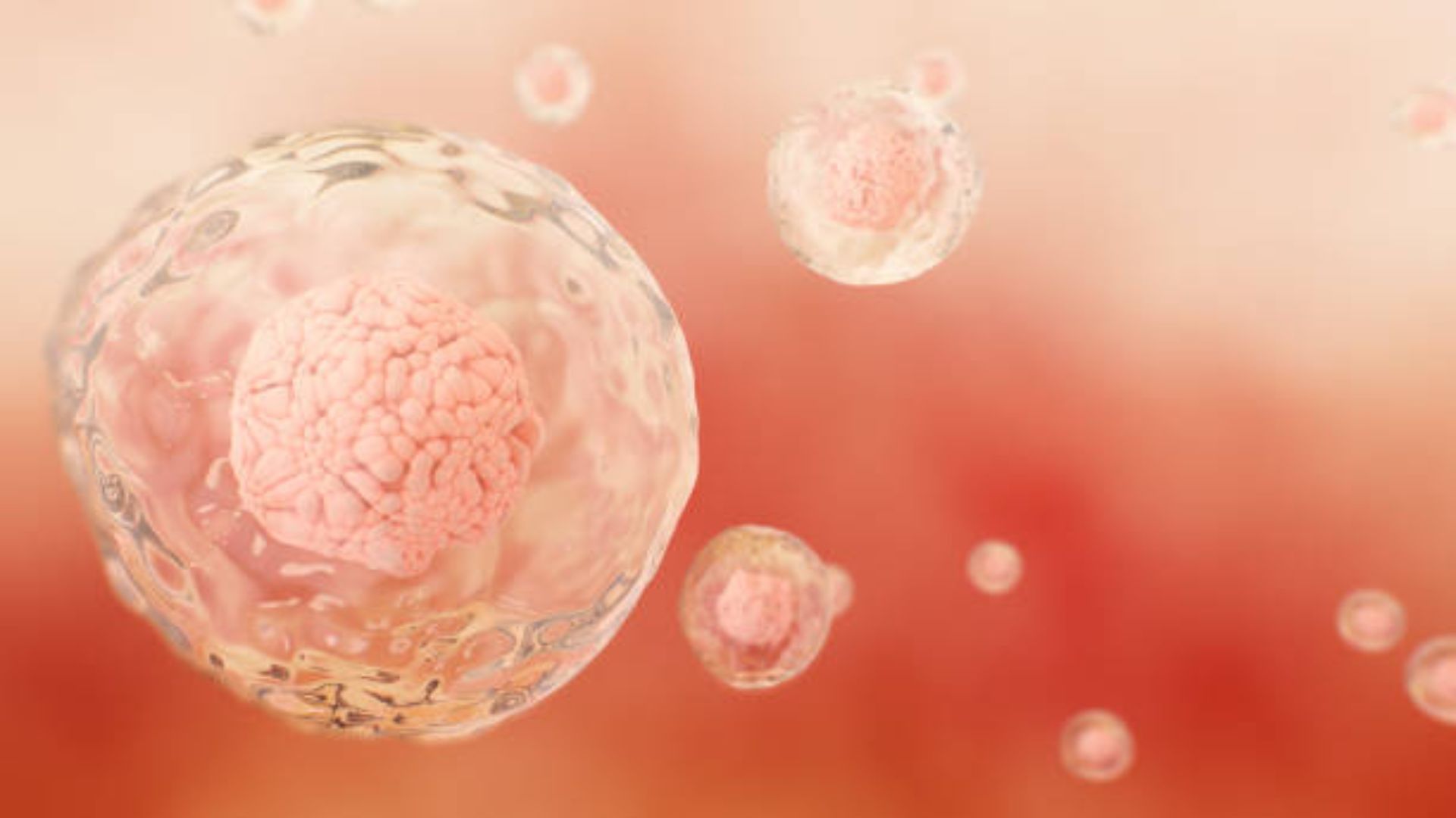 Benefits of Regenerative Treatment in Medellin