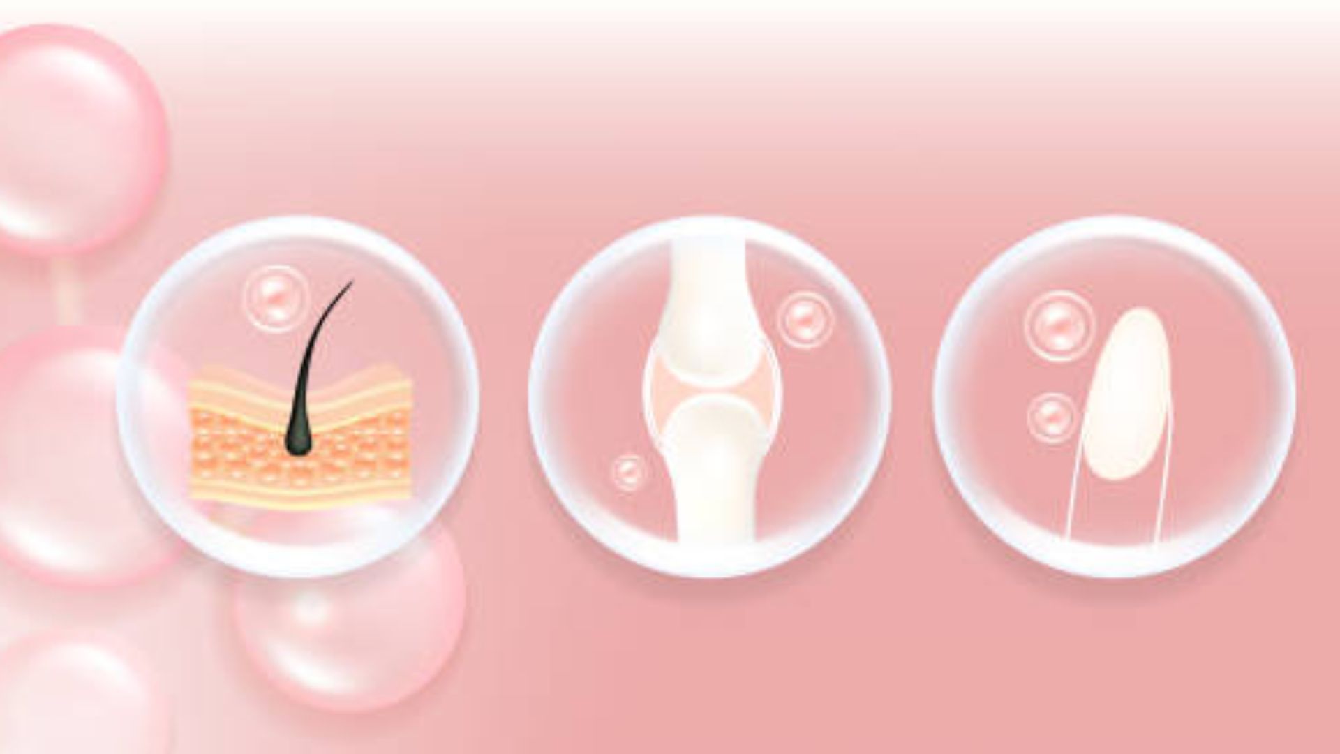 Regenerative Medical Treatment Using Stem Cells in Colombia | SCM