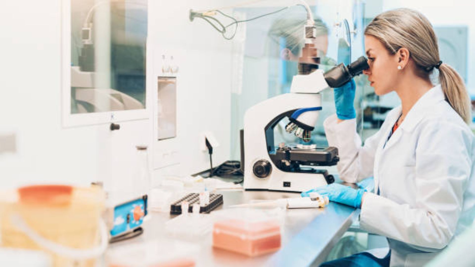 Stem Cell in Medellin Colombia for Healing Support