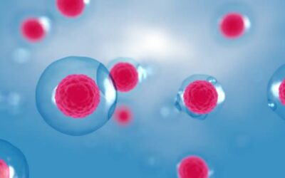 Stem Cells Clinic in Medellin: Regenerative Medical Support