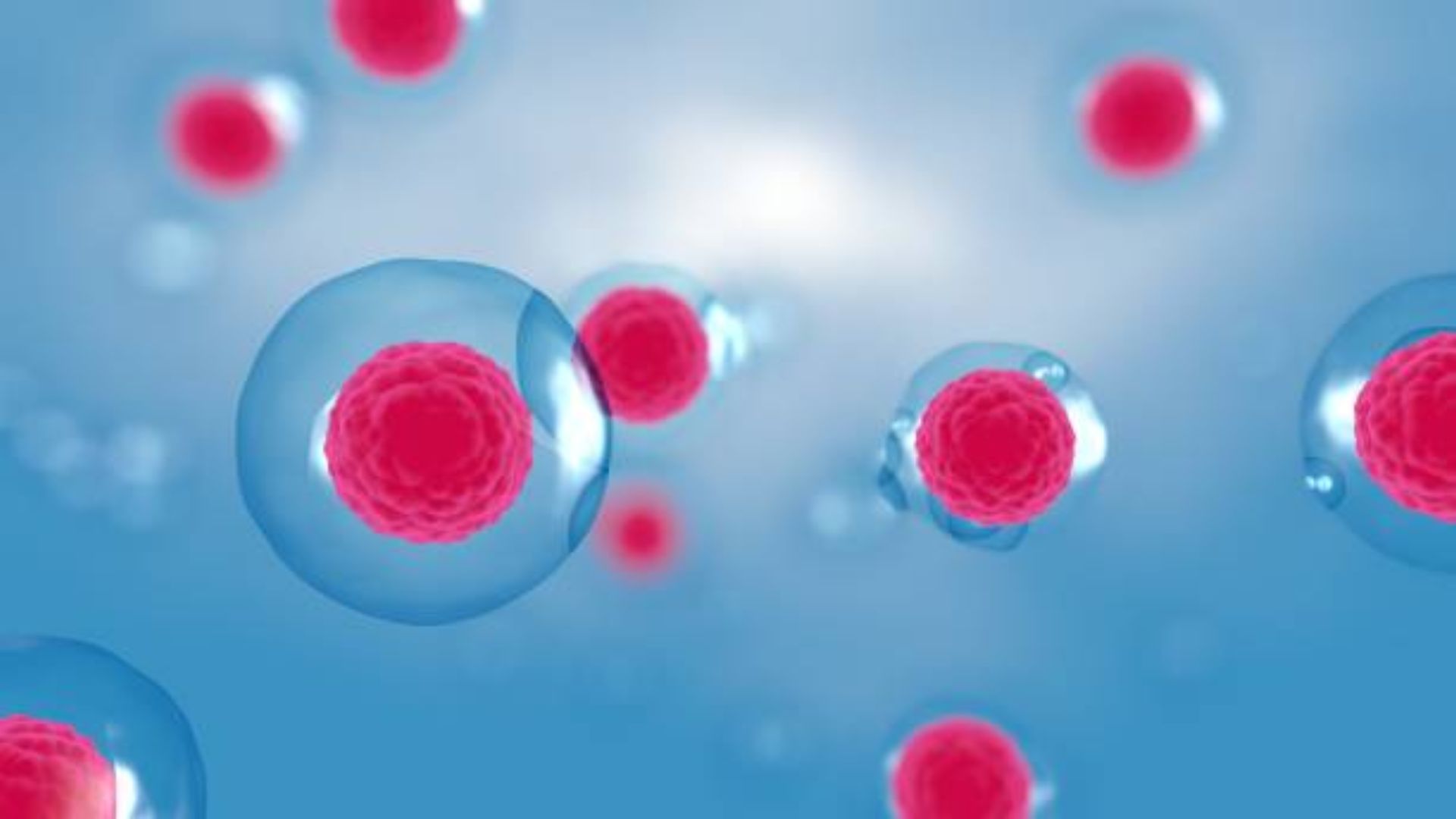 Stem Cells Clinic in Medellin: Regenerative Medical Support