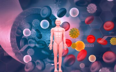 What Full-Body Stem Cell Therapy Actually Does Inside Your Body