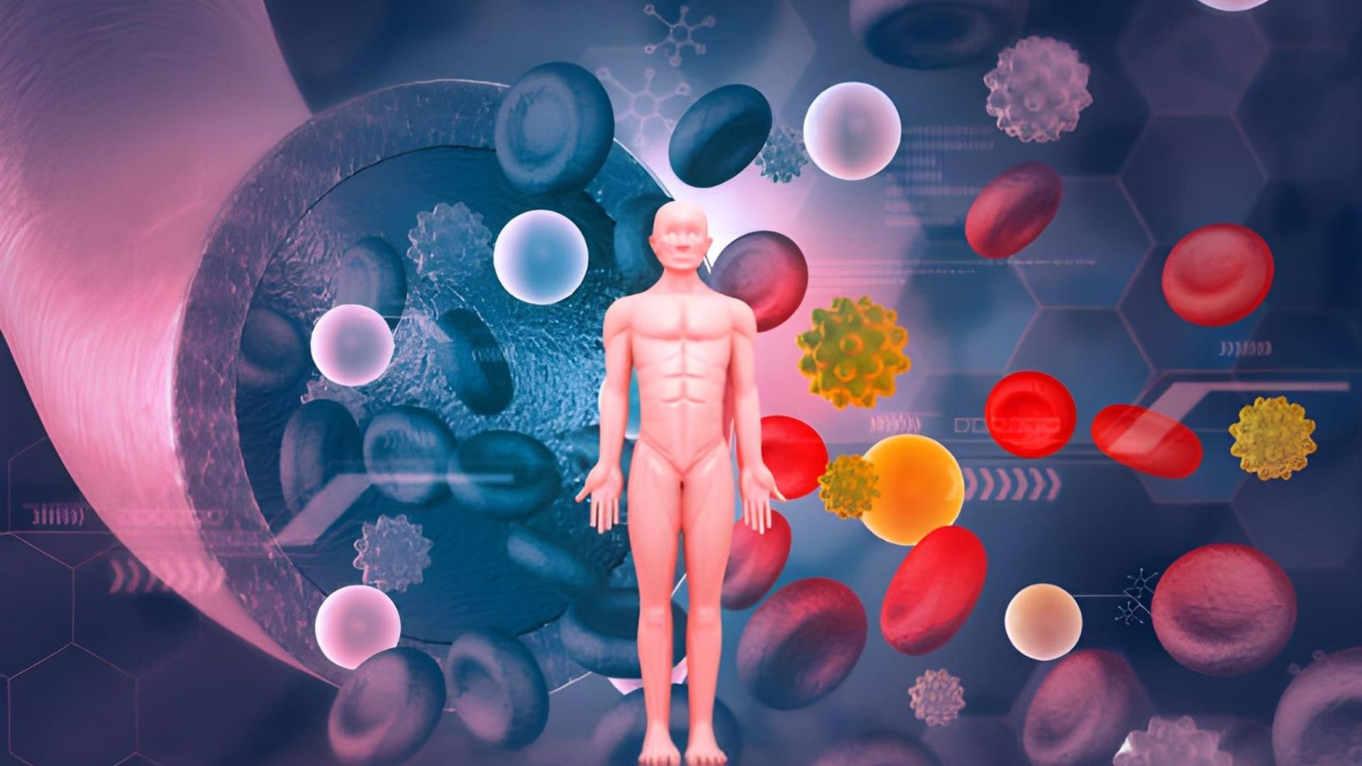 What Full-Body Stem Cell Therapy Actually Does Inside Your Body