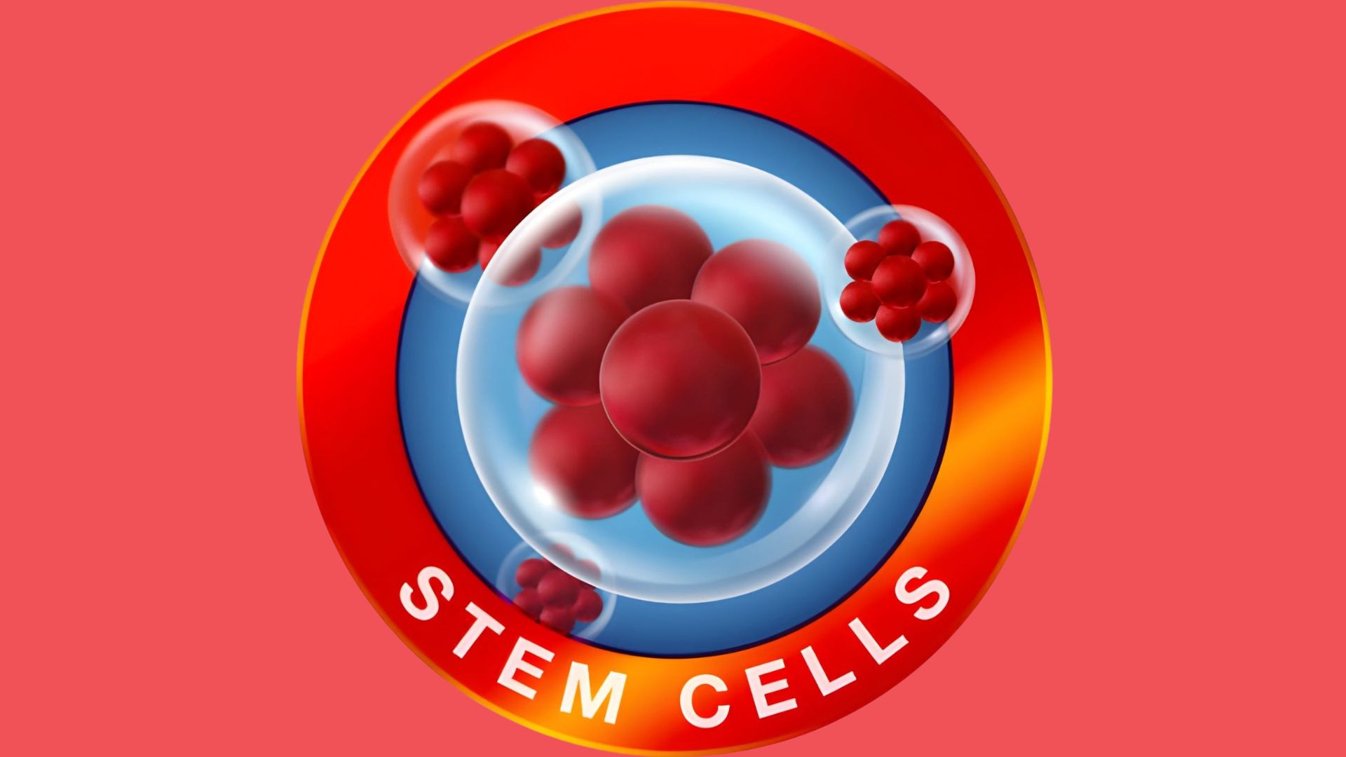 Stem Cells Center How Regenerative Clinics Deliver Modern Treatment