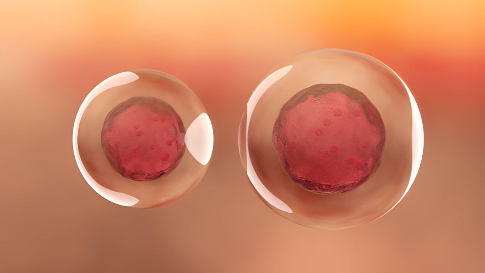 Stem Cells Medellin: Advanced Regenerative Therapy in Colombia