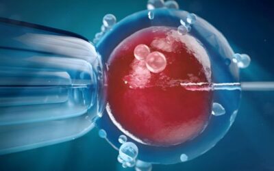 Exosomas y factores de crecimiento en medicina regenerativa