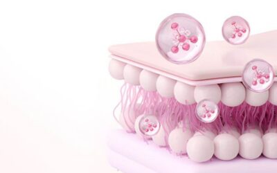 ¿De dónde se obtienen las células madre?