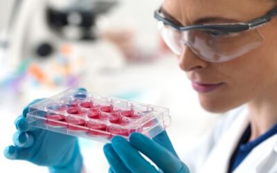 Does Stem Cell Therapy Work? Understanding Evidence and Results