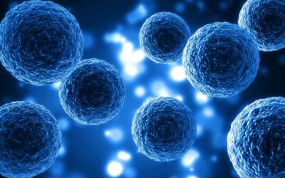 Stem Cell Therapy Success Rate: How to Interpret Results and Claims