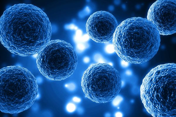 Stem Cell Therapy Success Rate: How to Interpret Results and Claims