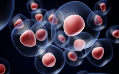 Stem Cell Treatment: What Patients Should Know Before Getting Started