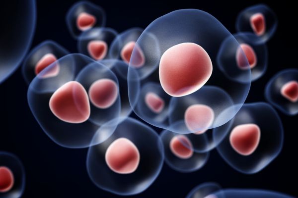 Stem Cell Treatment_ What Patients Should Know Before Getting Started Stem Cell Treatment: What Patients Should Know First