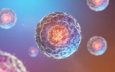 What Does Stem Cell Therapy Do? Understanding Its Role in Regenerative Medicine