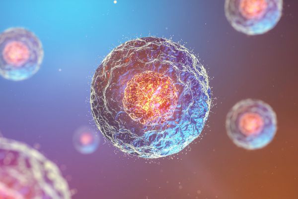 What Does Stem Cell Therapy Do_ Understanding Its Role in Regenerative Medicine What Does Stem Cell Therapy Do? A Patient Guide