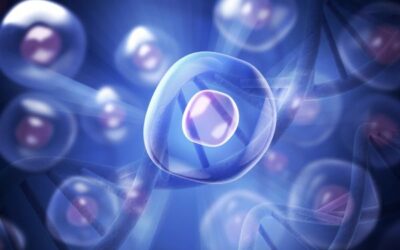 What Is Stem Cell Therapy? A Complete Patient Guide