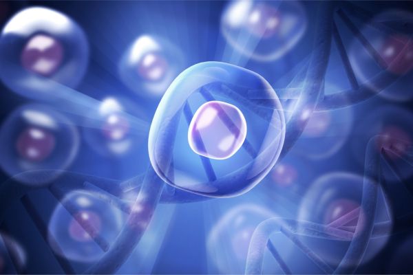 What Is Stem Cell Therapy? A Complete Patient Guide