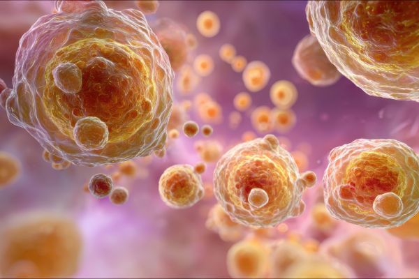 What to Expect During Stem Cell Treatment and Recovery