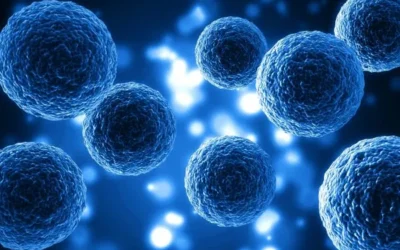 Stem Cell Therapy Success Rate: How to Interpret Results and Claims